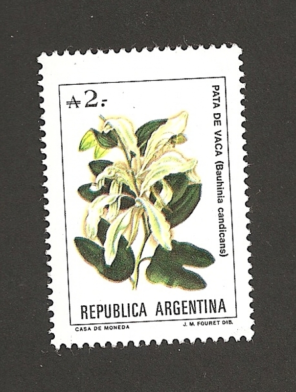 Pata de vaca