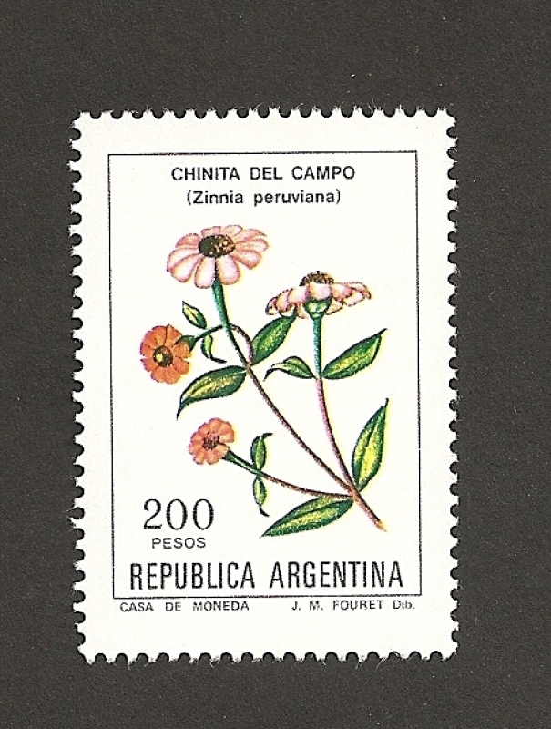 Chinitas del campo