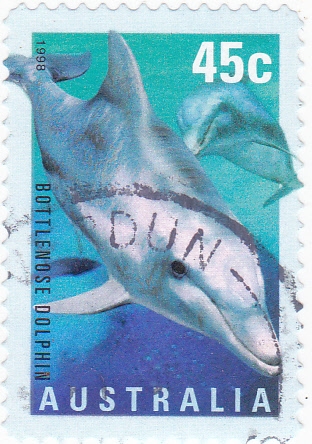 Delfines