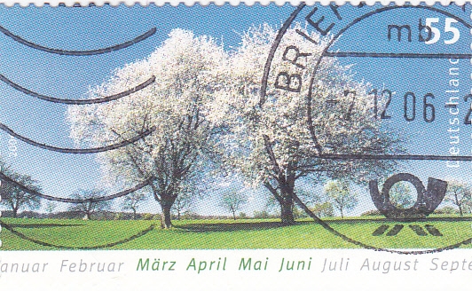 ARBOLES EN PRIMAVERA
