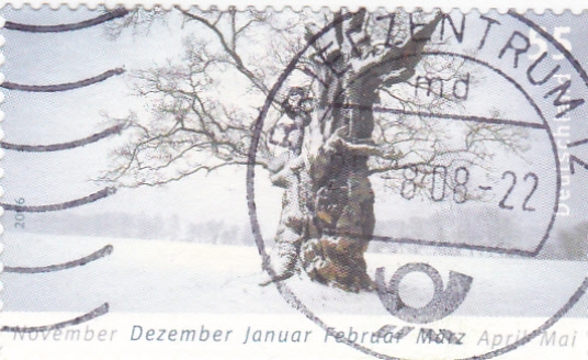 ARBOL EN INVIERNO