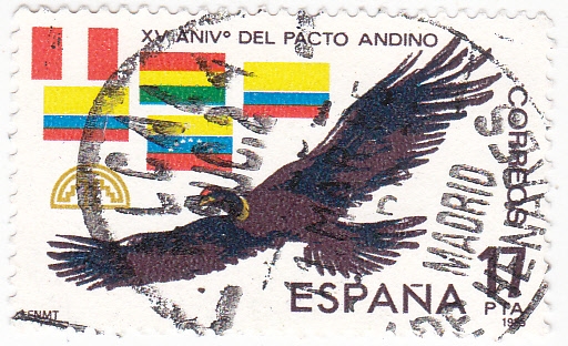 XV ANIVº DEL PACTO ANDINO (7)