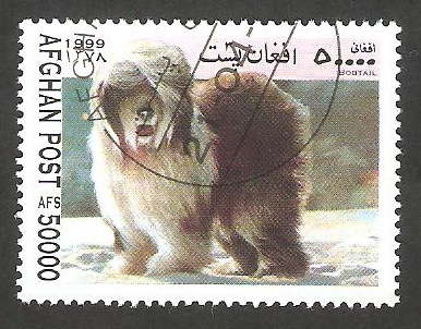 Perro de raza