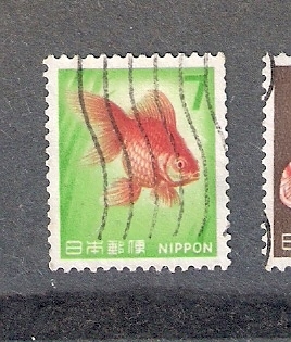 Carpa dorada