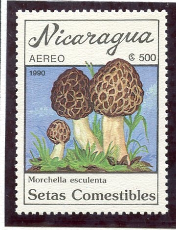 varios