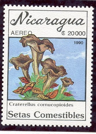 varios