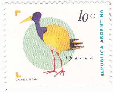 Ave- Ipacaá