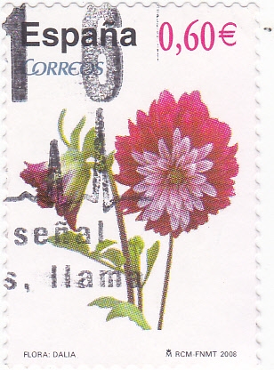 FLORA- DALIA  (9)