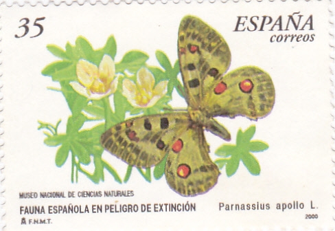 FAUNA ESPAÑOLA EN PELIGRO (9) DE EXTINCIÓN