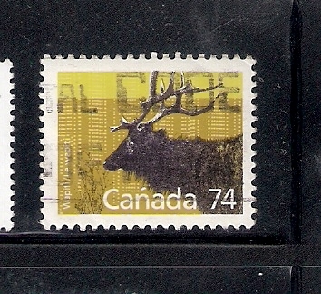 Wapiti