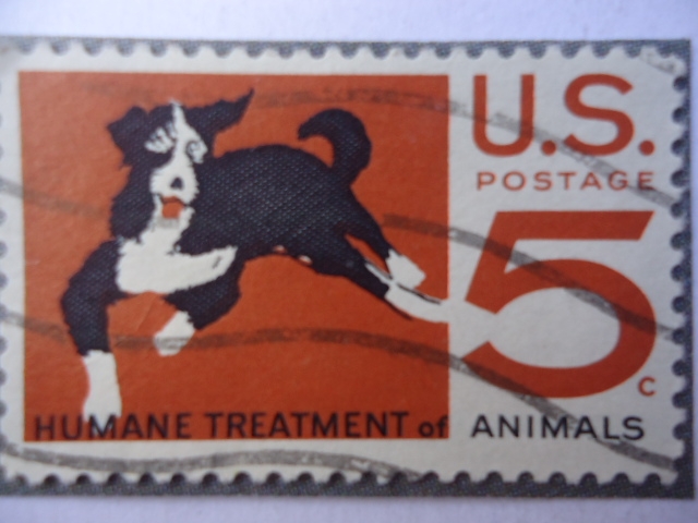 Trato humanitario de los animales.
