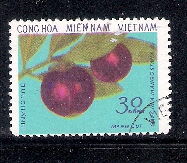 Mangostán