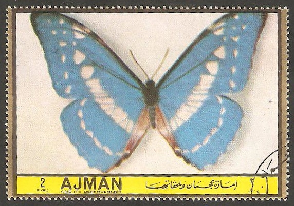 Ajman - Mariposa