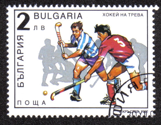 Hockey sobre Pasto