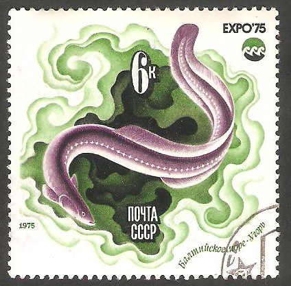  4163 - Fauna marina, Exposición internacional en Okinawa, Oceanexpo 75