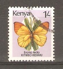 MARIPOSAS.  ERONIA  LEDA.