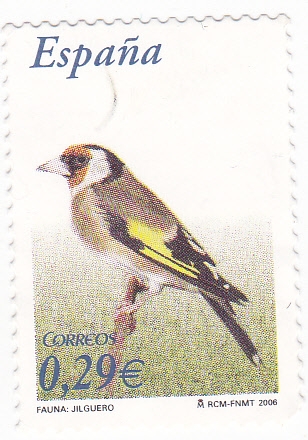 Fauna-Jilguero   (12)