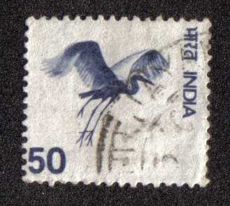 Virgin Crane (Anthropoides virgo)