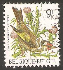 AVES.   CHARDONNERET.
