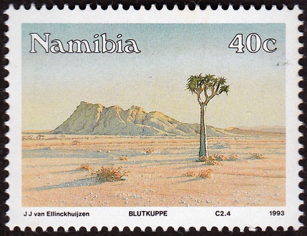 NAMIBIA - Arenal de Namib