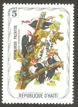 Fauna, ceophloeus pileatus