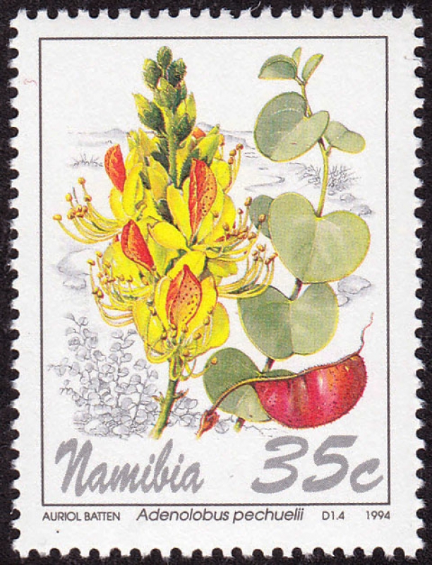 NAMIBIA - Arenal de Namib