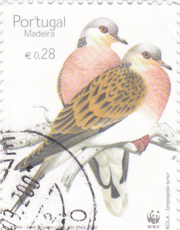 AVES-MADEIRA  w.w.F