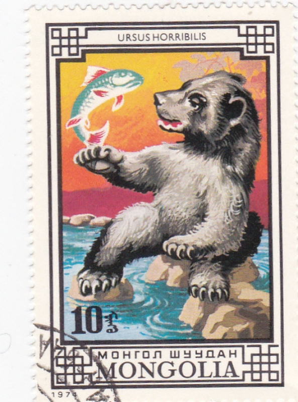 URSUS HORRIBILIS