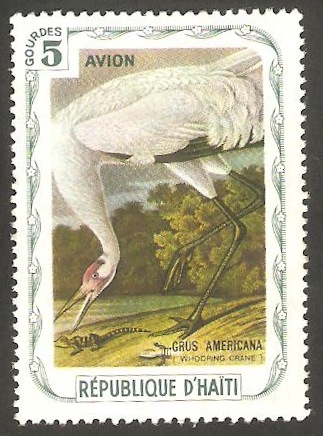 Fauna, grus americana