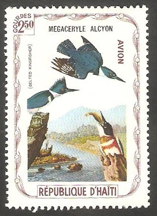  Fauna, megaceryle alcyon