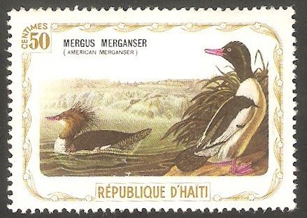 Fauna, mergus merganser