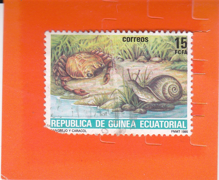 CANGREJO Y CARACOL