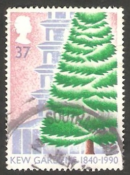 1467 - 150 anivº de los Jardínes botánicos de Kew, cedro