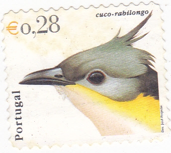 CUCO RABILONGO