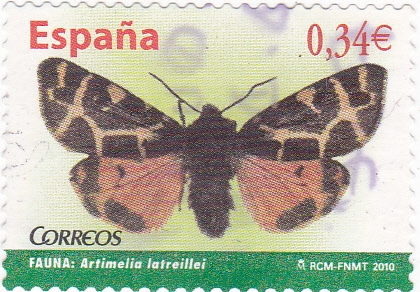 MARIPOSA- ARTIMELIA (14)