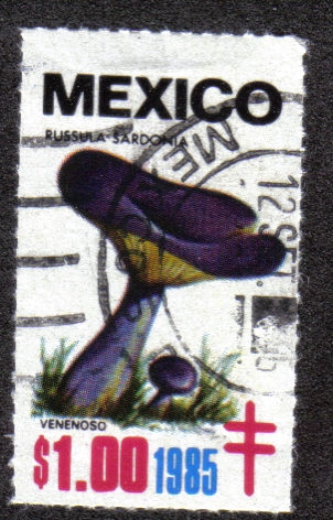 Hongos