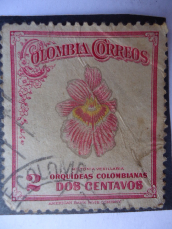 Orquídeas Colombianas - Miltoni Vexillaria