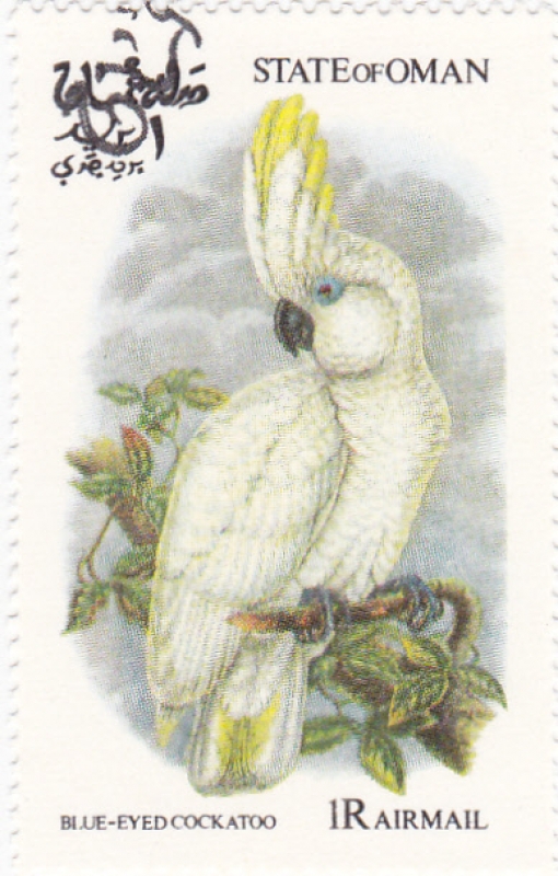 Aves del Paraíso