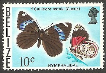 Mariposa