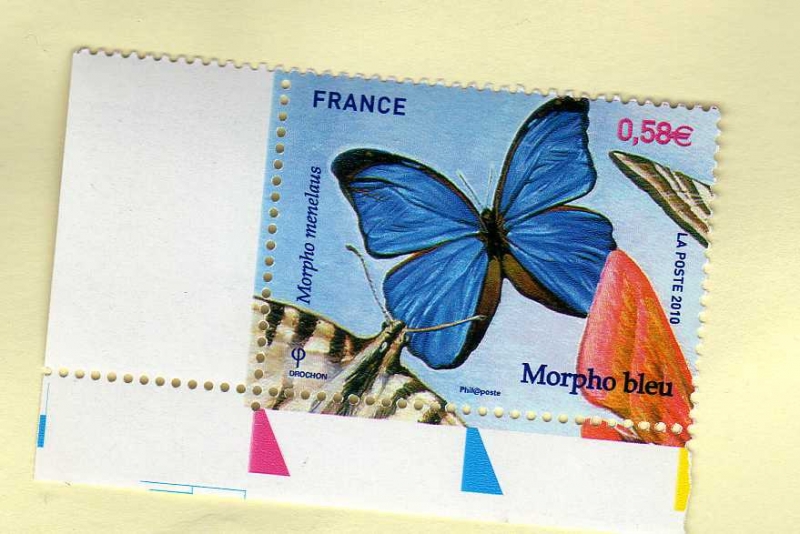 Mariposa.