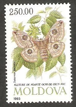 Mariposa