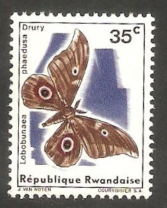 Mariposa