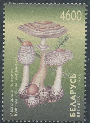 varios