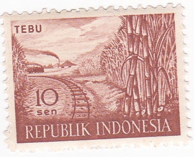 Caña de Tebu