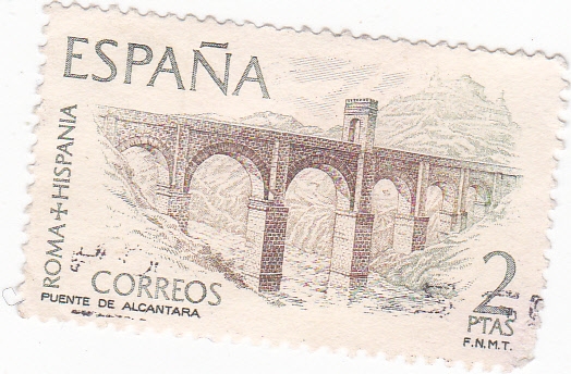 Puente de Alcántara (16)