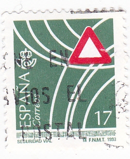 Seguridad Vial (16)