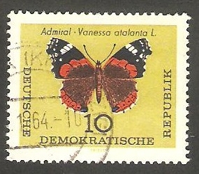 1004 - Mariposa amiral
