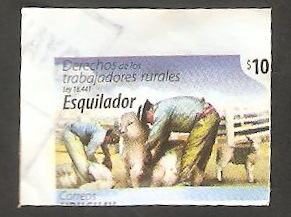 Derechos de los trabajadores rurales, Esquilador