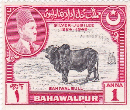 BAHAWALPUR- Silver Jubilee 1924-1949