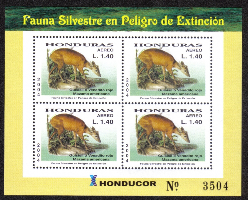 Fauna Silvestre en Peligro de Extinción 